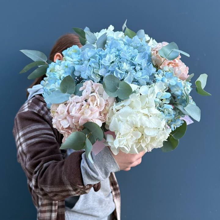 Гортензии в коробочке в Подольске