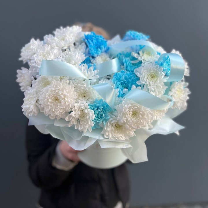 Хризнтемы в боксе в Подольске