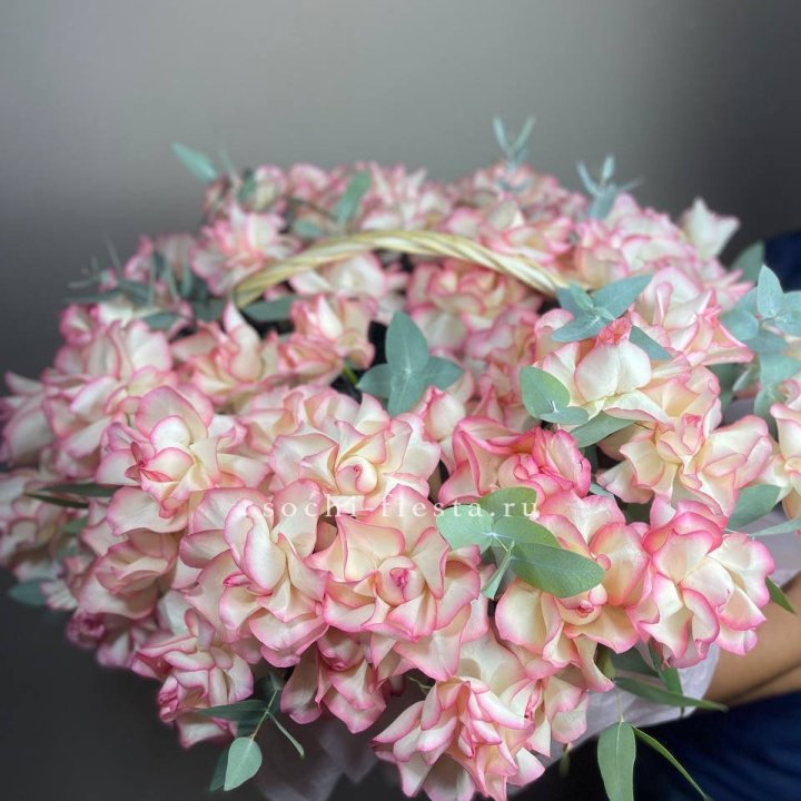 51 джумилия  в корзине   в Подольске