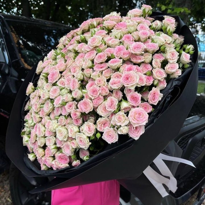 101 кустовая роза "Твистер" в Подольске