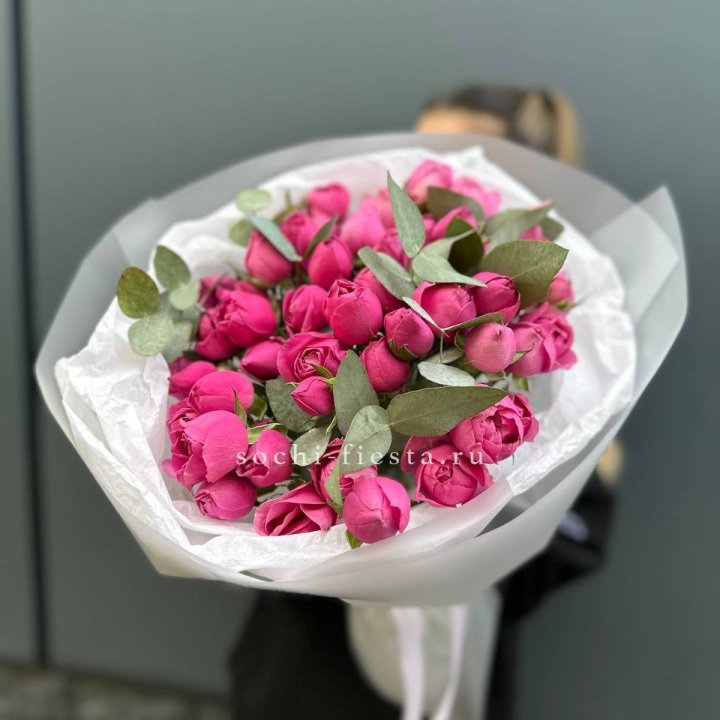 17 Мисти бабблс в Подольске