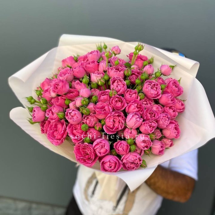 Мисти Баблс 35шт в Подольске