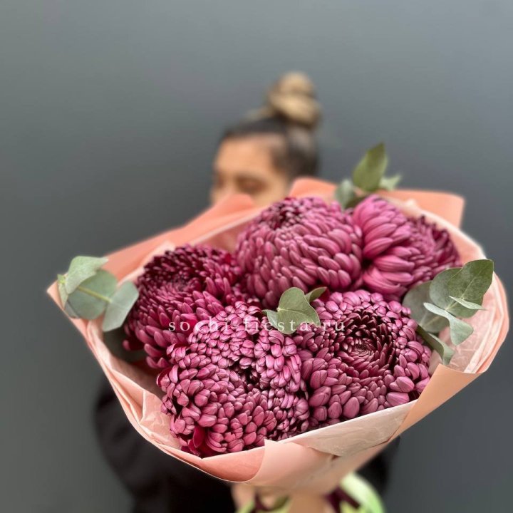 Хризантемы  Бигуди  в Подольске