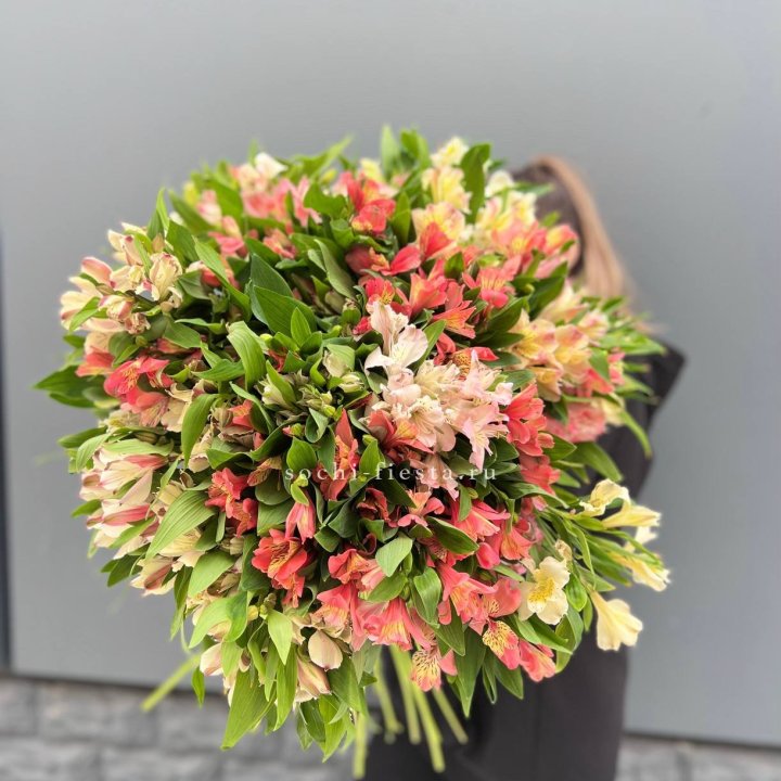 51 альстромерия в Подольске