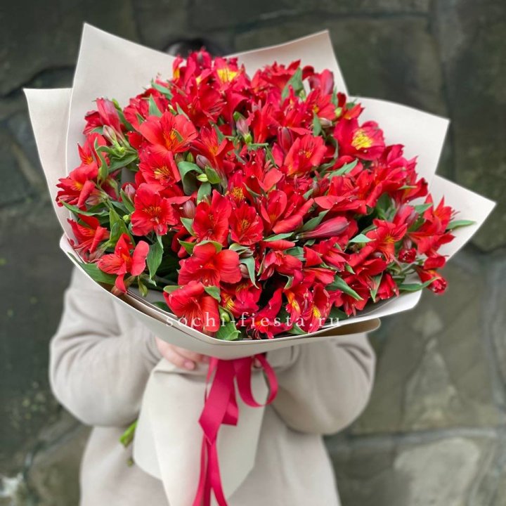51 альстромерия в Подольске