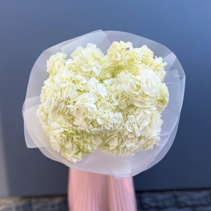 7 белых гортензий в Подольске