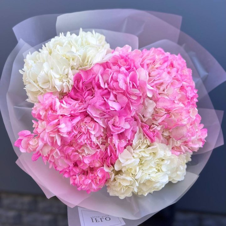 5 бело-розовых гортензий в Подольске