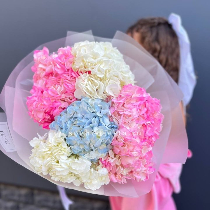 7 гортензий микс в Подольске
