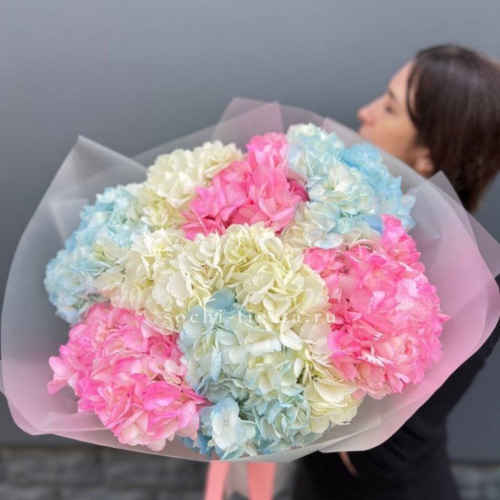9 гортензий микс в Подольске