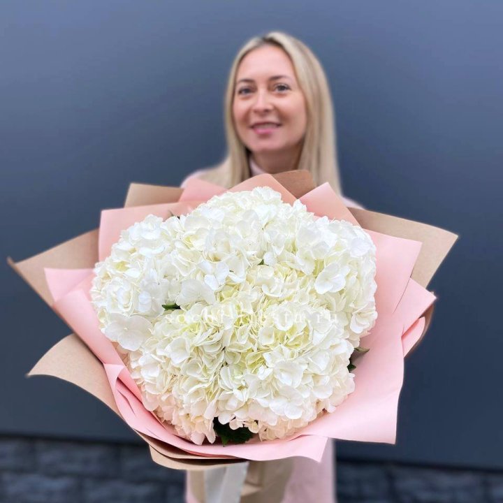 Гортензия белая в Подольске