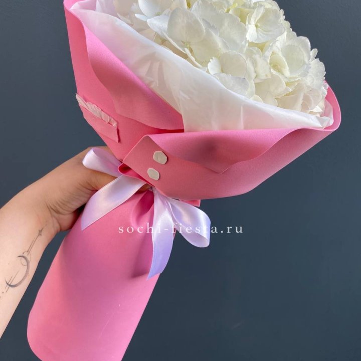 Гортензия в розовом пиджаке в Подольске