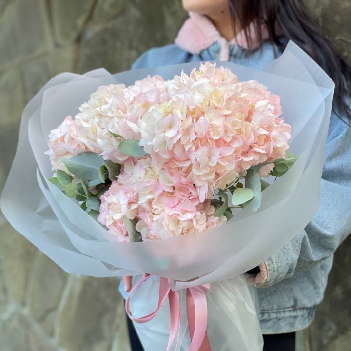 5 розовых гортензий в Подольске