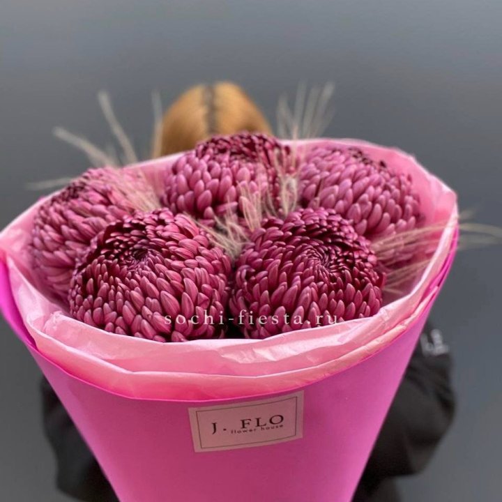 Хризантемы  Бигуди с стифой в Подольске