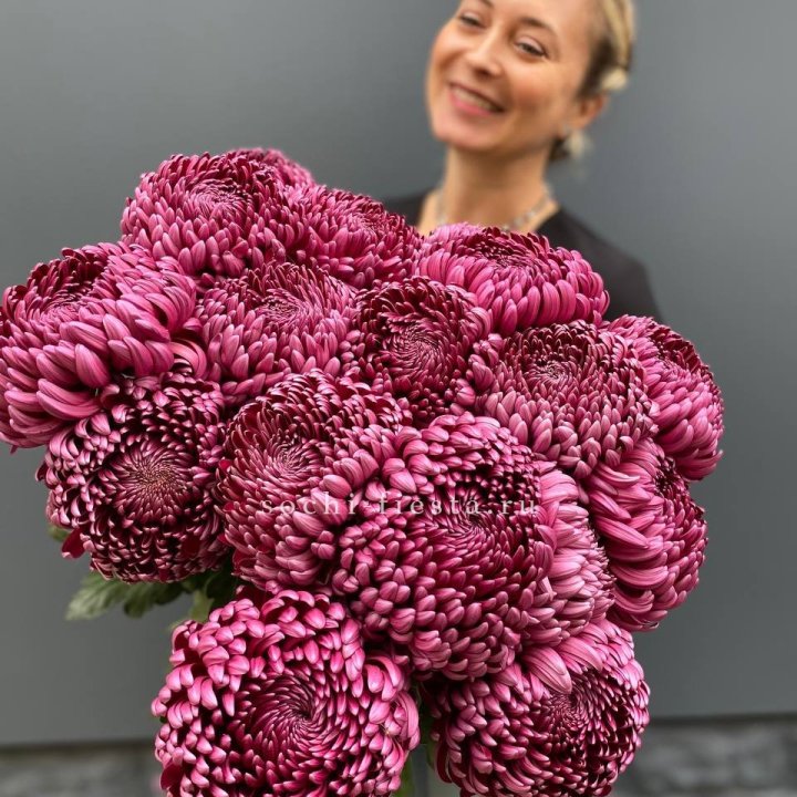 Охапка хризантем Бигуди в Подольске