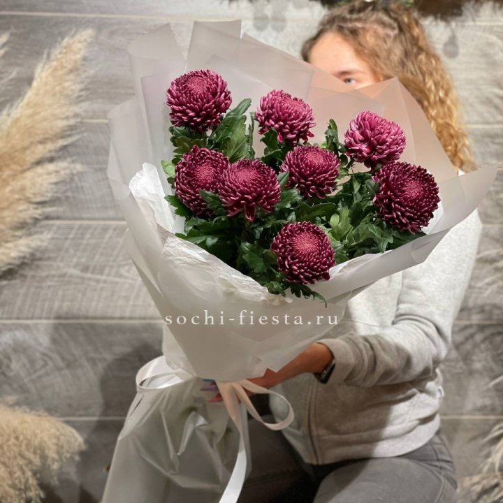 Хризантемы Бигуди в Подольске