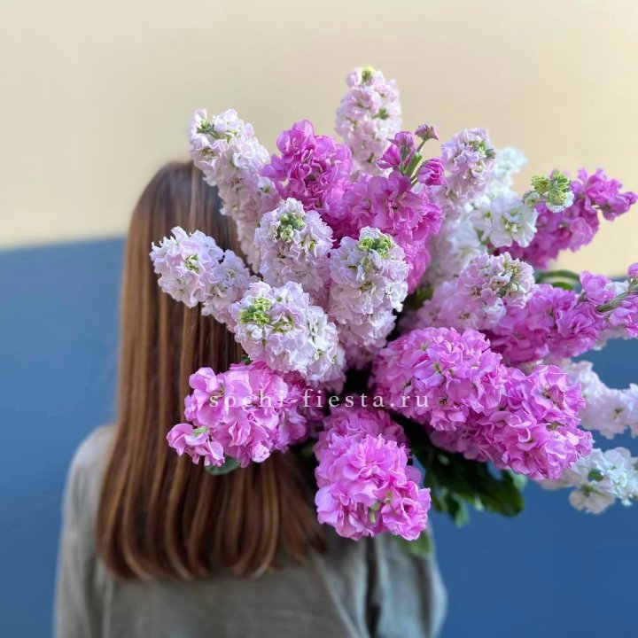 Охапка маттиолы в Подольске