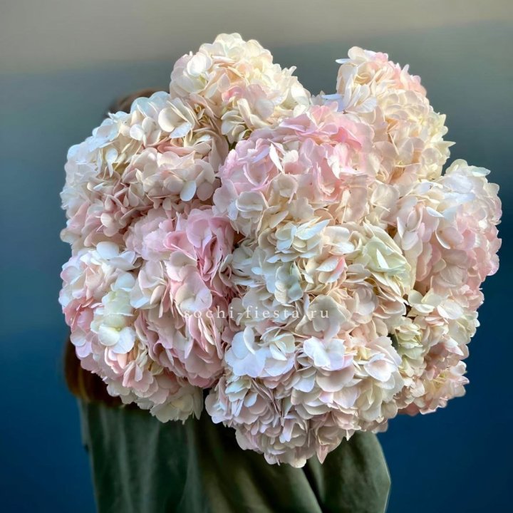 Охапка розовой гортензии в Подольске