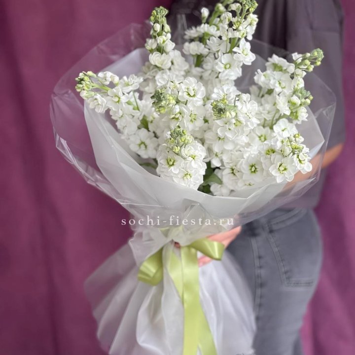 Букет ароматной маттиоллы №1 в Подольске