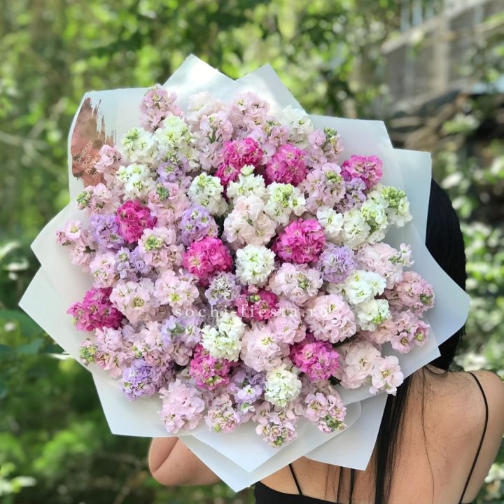 Букет ароматной маттиоллы №3 в Подольске