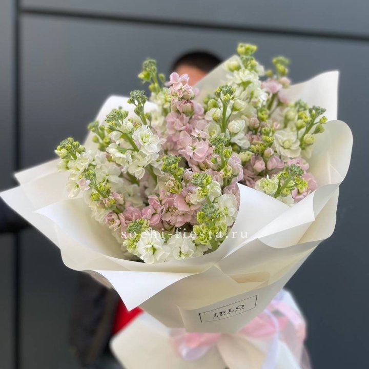 29 маттиол  в Подольске