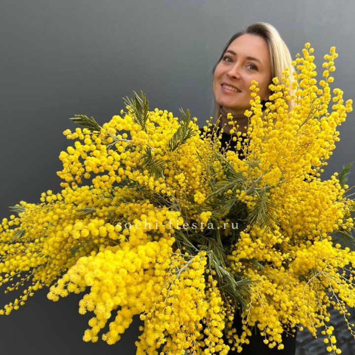 Охапка мимозы №2 в Подольске
