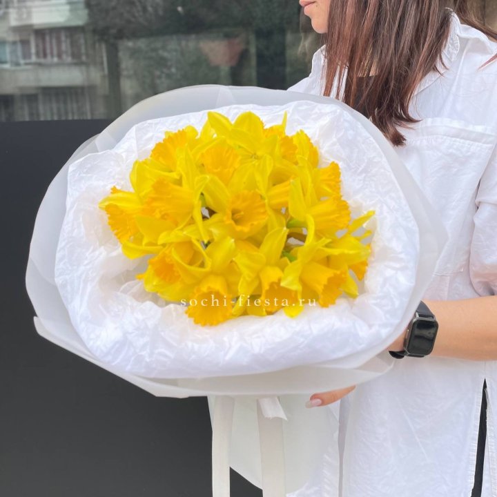 Нарциссы 25 шт в Подольске