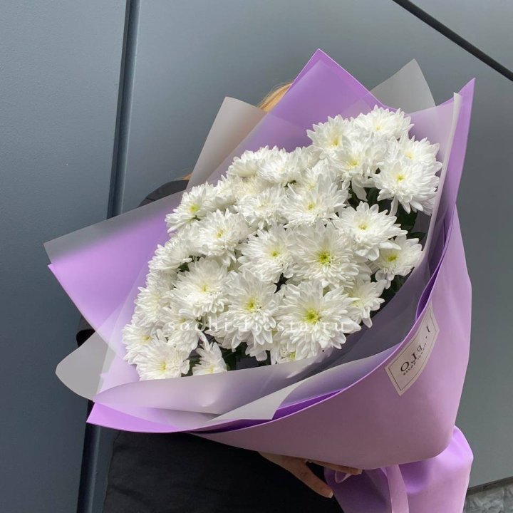  7 хризантем  в Подольске