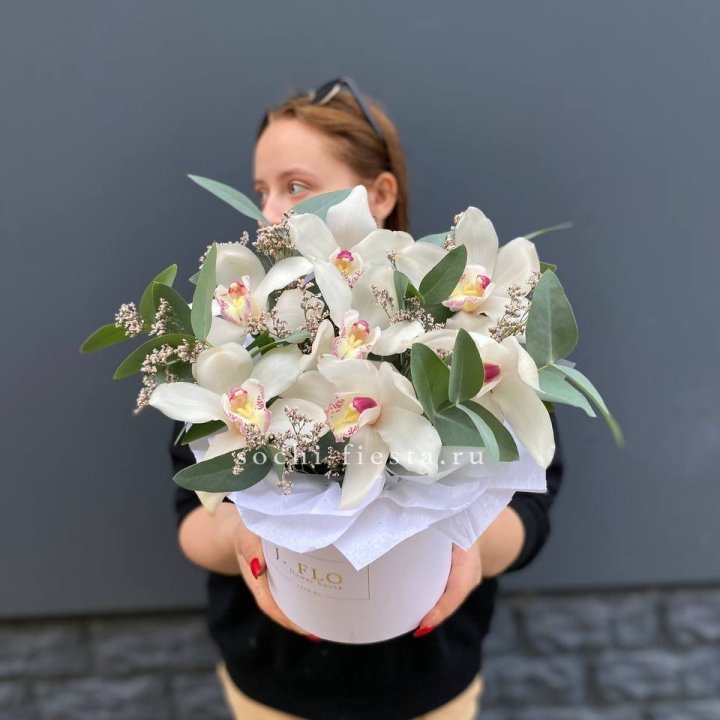 7 орхидей в боксе в Подольске