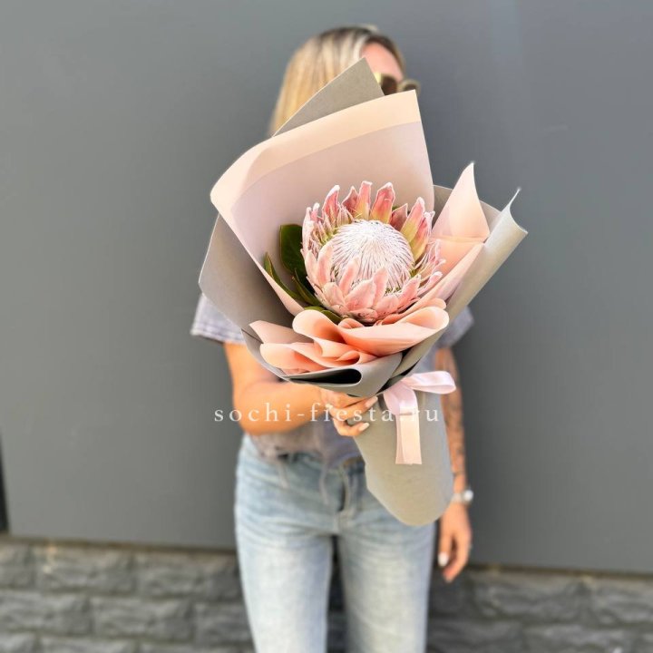 Протея мини  в Подольске