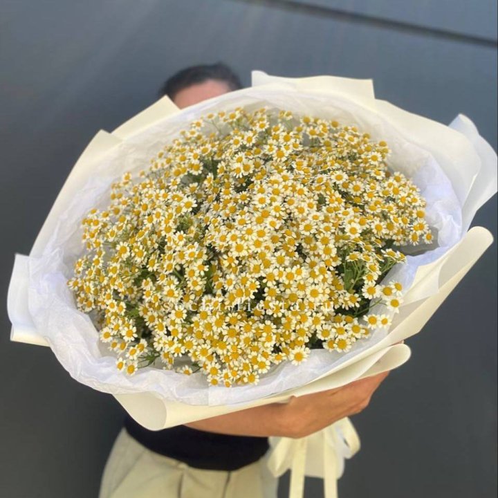 Букет ромашек №2 в Подольске