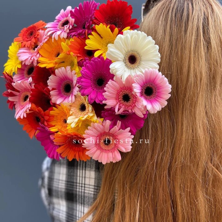 Охапка гербер  в Подольске