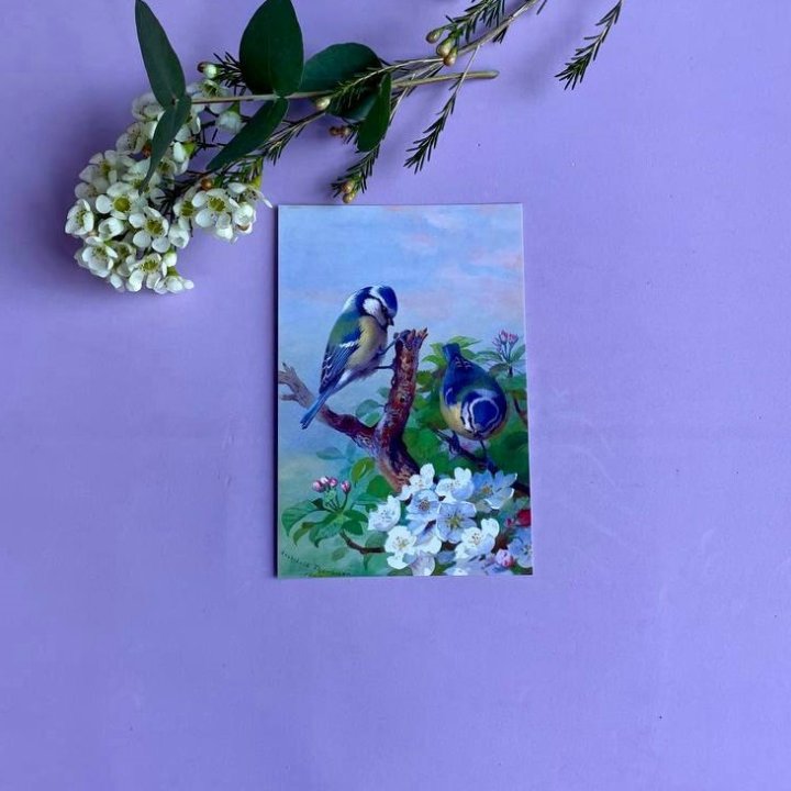 Открытка к букету "Птицы" в Подольске