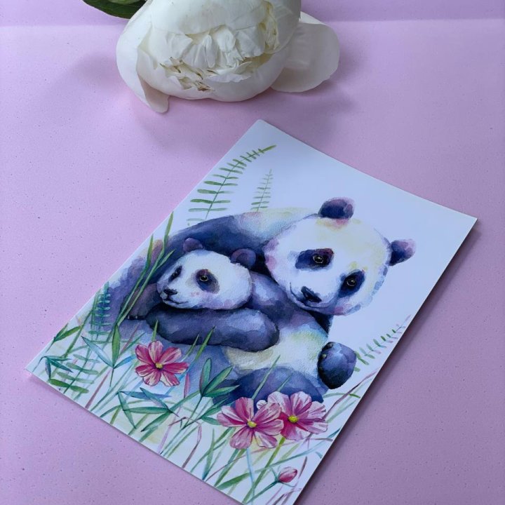 Открытка к букету "Объятие Панды" в Подольске