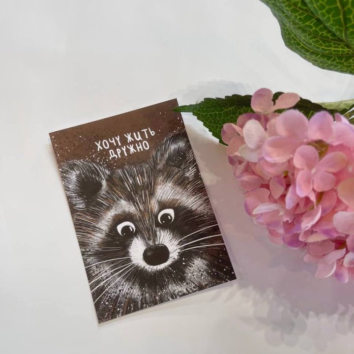 Открытка к букету "Енотик" в Подольске