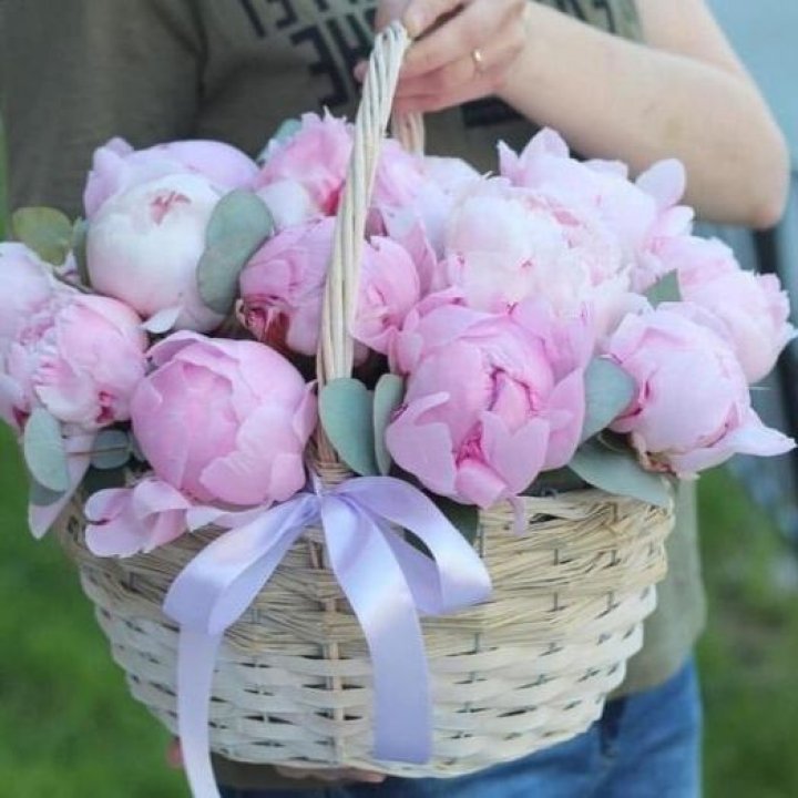 15 пионов в корзине в Подольске