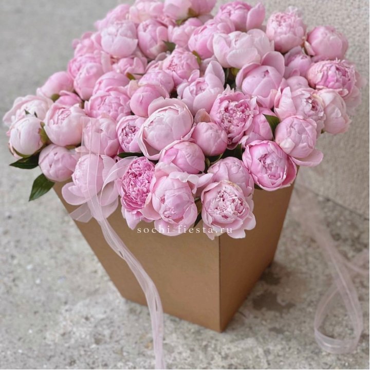 49 пионов в крафт коробке в Подольске