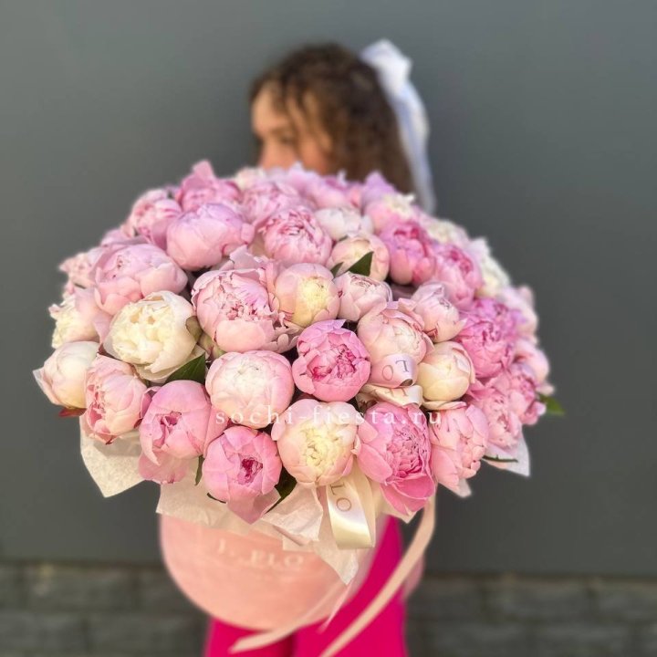 51 нежных пионов  в цилиндре в Подольске