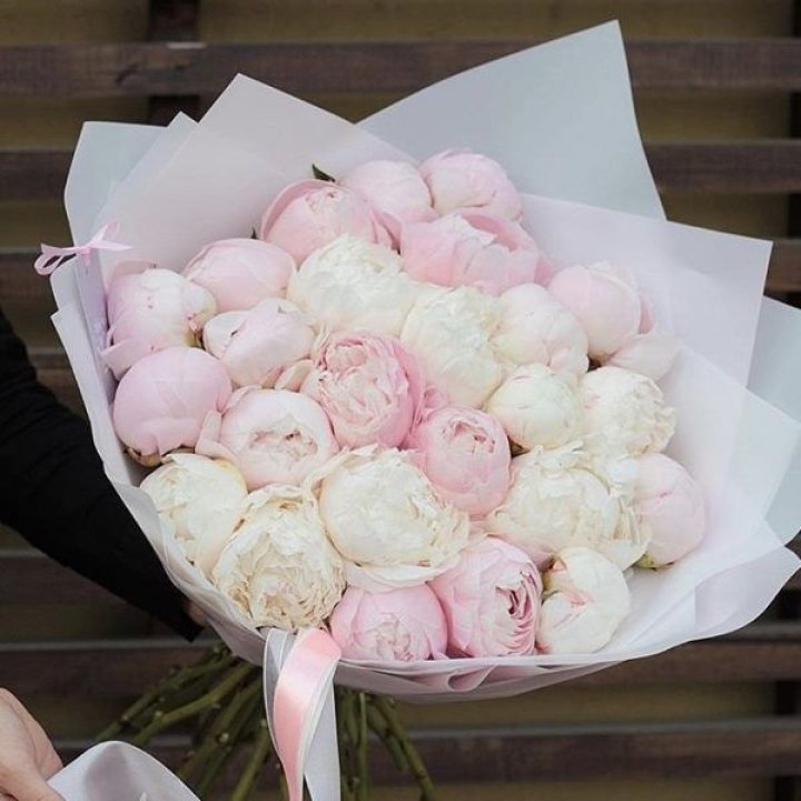 29 пионов в Подольске