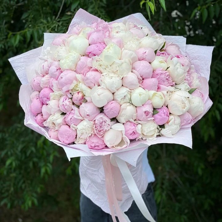 101 пион в Подольске