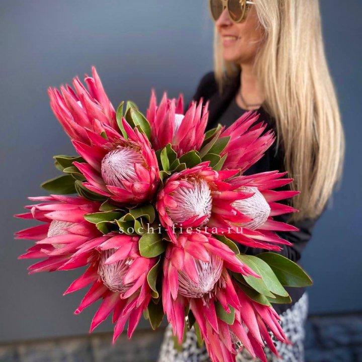 Протея штучно в Подольске