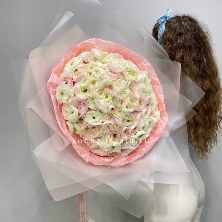 113 ранункулюсов  в Подольске