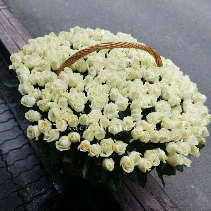 303 розы в корзине в Подольске