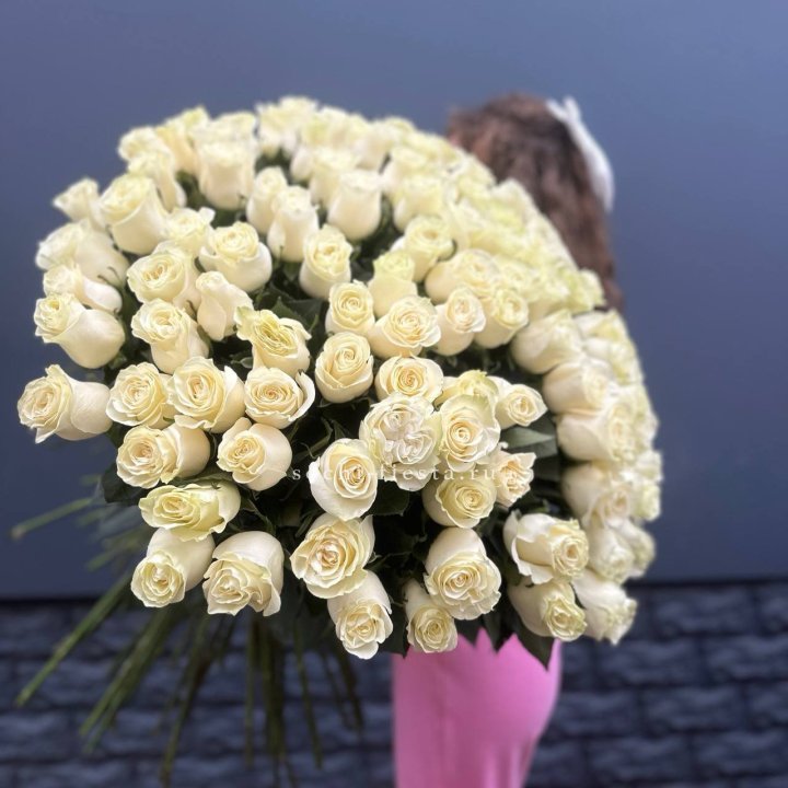 101 белая высокая импортная роза под ленту в Подольске