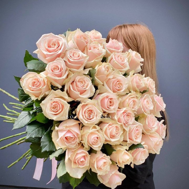 35 кремовых высоких роз в Подольске
