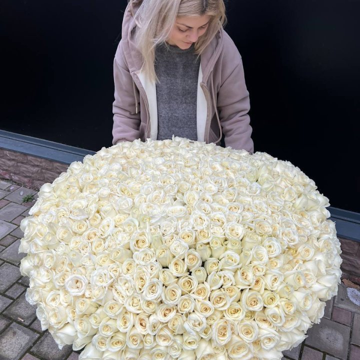 501 белая роза в корзине в Подольске