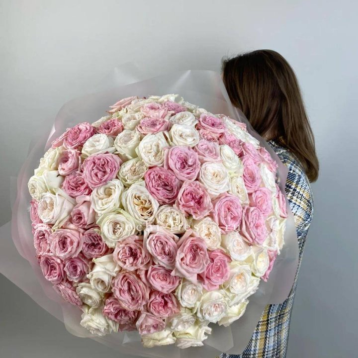 101 роз Охара в Подольске