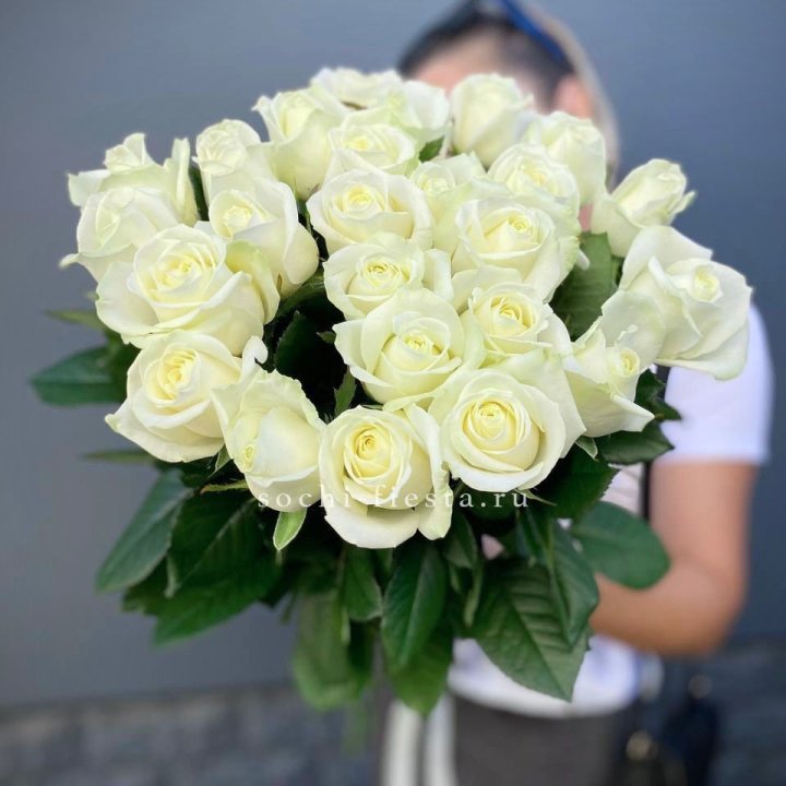Голландские розы белые 25 в Подольске