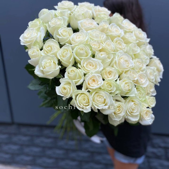 51 белоснежная высокая роза в Подольске