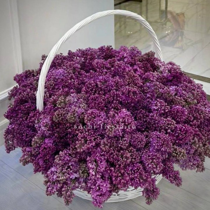 Корзина сирени в Подольске