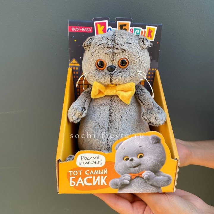 Кот Басик с бабочкой в Подольске